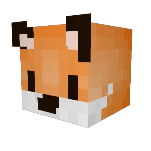 FloDootje Minecraft avatar head, 3D render