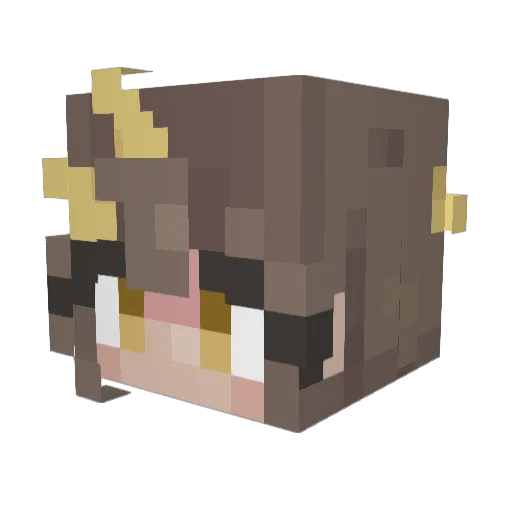FloFlo47_ Minecraft avatar head, 3D render
