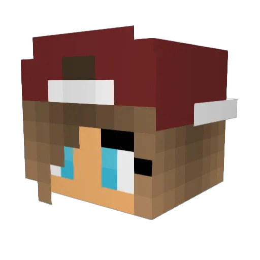 FloKids Minecraft avatar head, 3D render