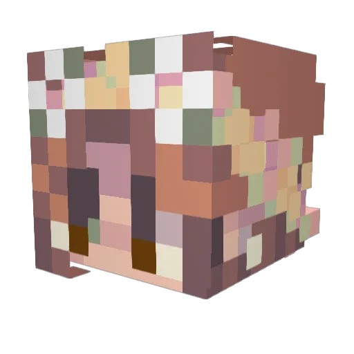 FloLilac Minecraft avatar head, 3D render