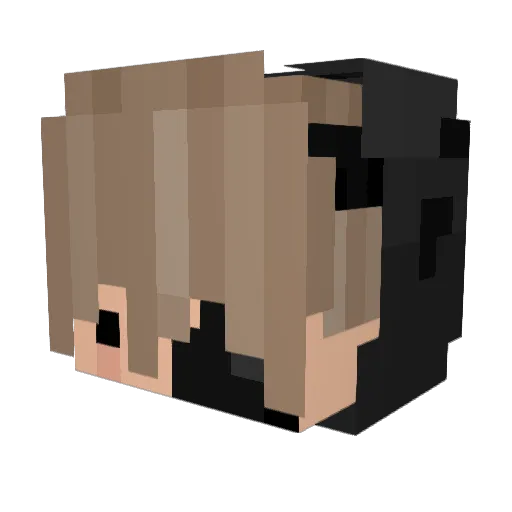 FloSchwarz_ Minecraft avatar head, 3D render