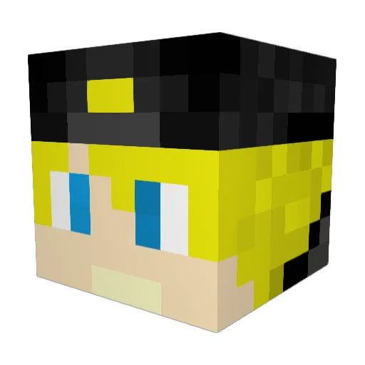FloT2210 Minecraft avatar head, 3D render