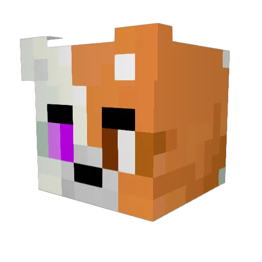 FloTheFoxgonFz Minecraft avatar head, 3D render