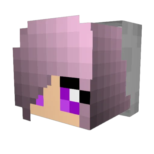 FloVilliers Minecraft avatar head, 3D render