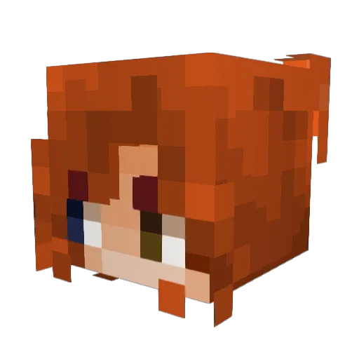 Flo_012 Minecraft avatar head, 3D render