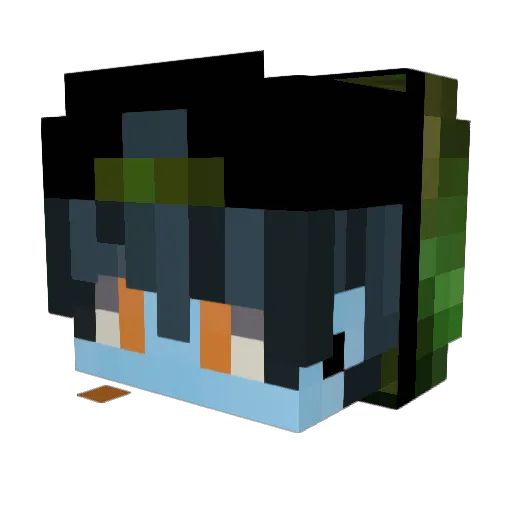 Flo_Flo77777 Minecraft avatar head, 3D render