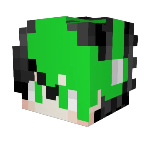 Floathungry Minecraft avatar head, 3D render