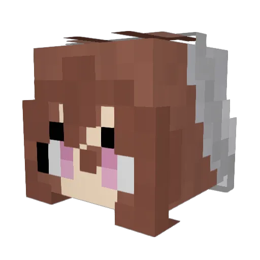 FloatingMeadowz Minecraft avatar head, 3D render