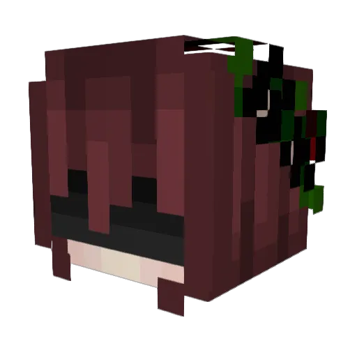 FloatingSalad Minecraft avatar head, 3D render