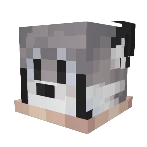 FloatingSkies Minecraft avatar head, 3D render