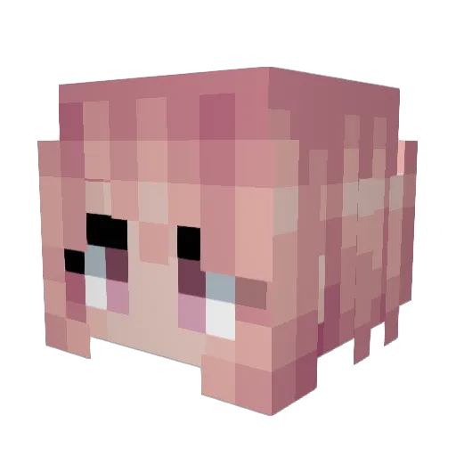 Flobule Minecraft avatar head, 3D render