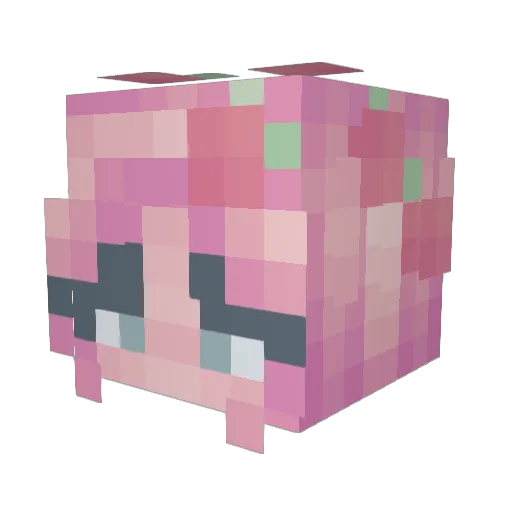 Flochi000 Minecraft avatar head, 3D render