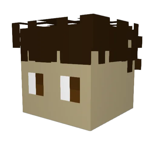 FlockeSocke10 Minecraft avatar head, 3D render