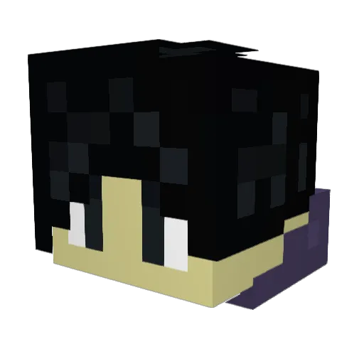 FlockeXY Minecraft avatar head, 3D render