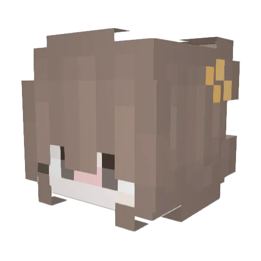 Flocki12 Minecraft avatar head, 3D render