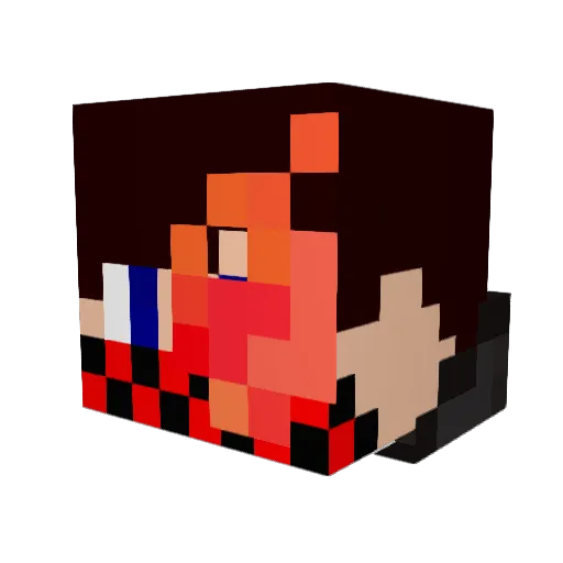 Flocon38 Minecraft avatar head, 3D render