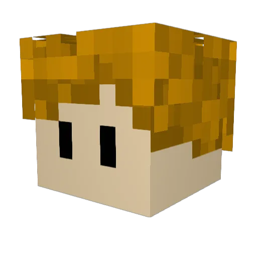 Flocourt Minecraft avatar head, 3D render