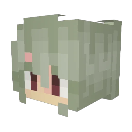 Flocrach_ Minecraft avatar head, 3D render