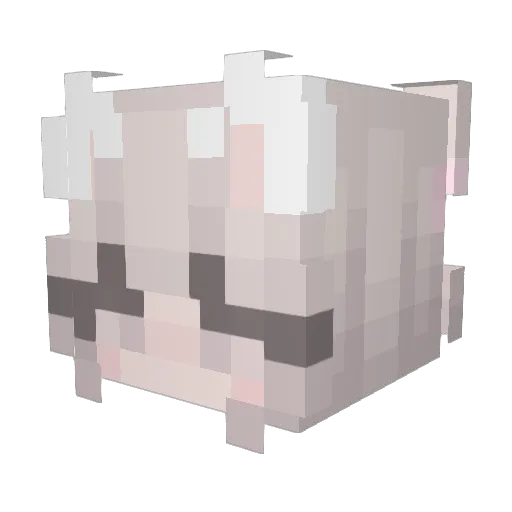 Floder420 Minecraft avatar head, 3D render