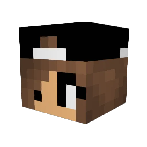 Flodjaa Minecraft avatar head, 3D render