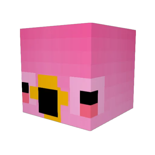 Floemingo Minecraft avatar head, 3D render