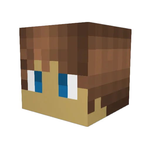 Floens47 Minecraft avatar head, 3D render