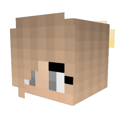 Floey004 Minecraft avatar head, 3D render