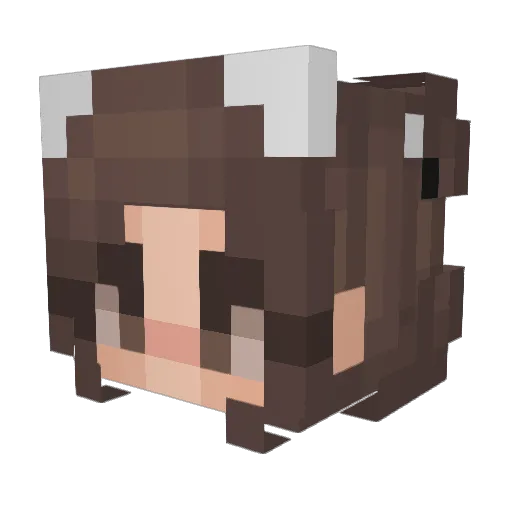 Floffieb Minecraft avatar head, 3D render