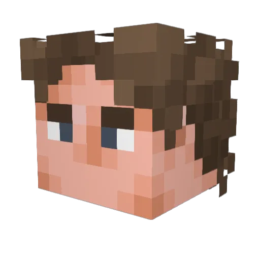 Flogynique Minecraft avatar head, 3D render