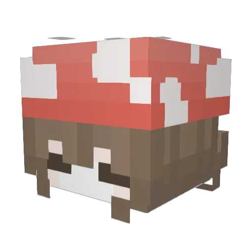 Floi_ Minecraft avatar head, 3D render