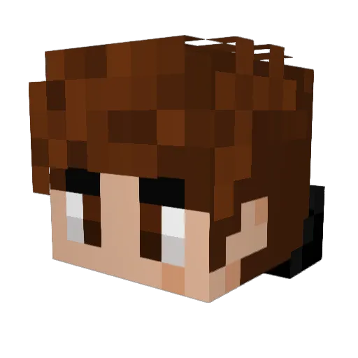 Floid_ Minecraft avatar head, 3D render