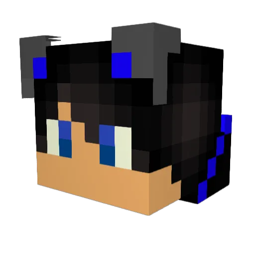 Flokey12 Minecraft avatar head, 3D render