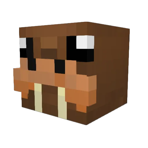 Floki404 Minecraft avatar head, 3D render