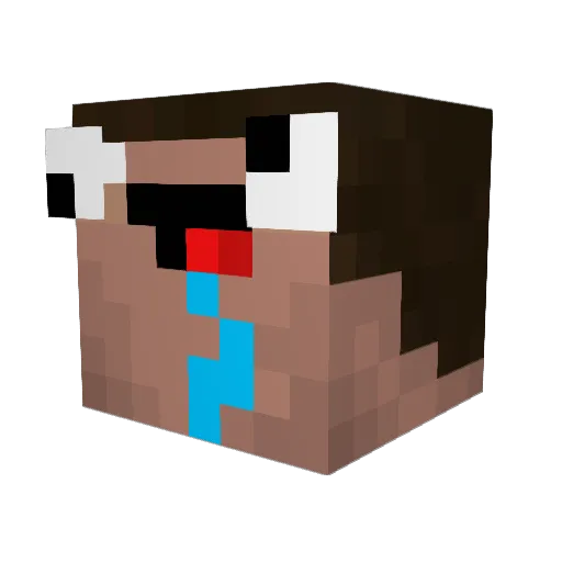 FlokiSpokie16 Minecraft avatar head, 3D render
