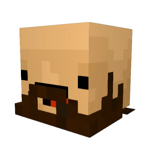Flokito12 Minecraft avatar head, 3D render