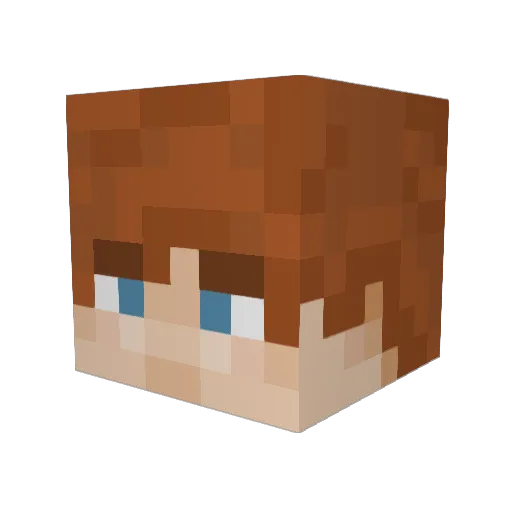 Floli26 Minecraft avatar head, 3D render