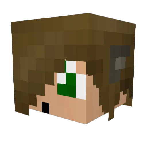 Flompi225 Minecraft avatar head, 3D render