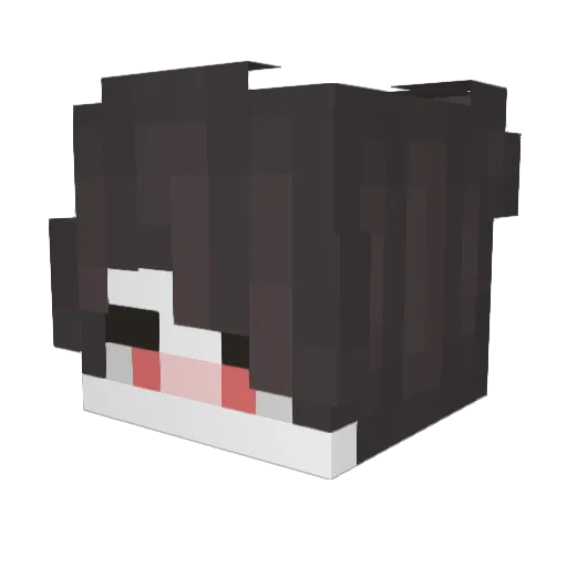 FlompyLite Minecraft avatar head, 3D render