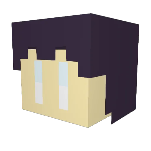 Flomsel Minecraft avatar head, 3D render