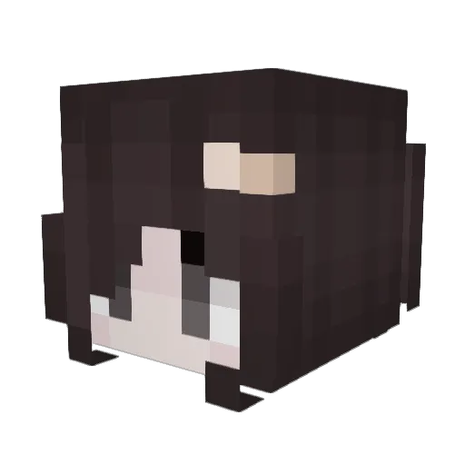 Flonaa Minecraft avatar head, 3D render