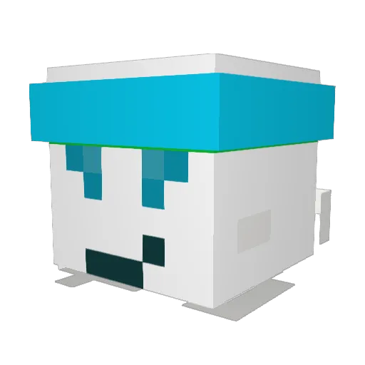 Flonator974 Minecraft avatar head, 3D render
