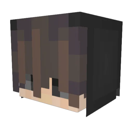 FlooNr1z Minecraft avatar head, 3D render