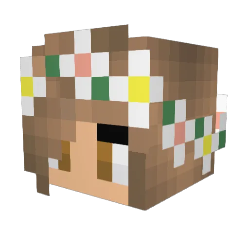 FlooPower Minecraft avatar head, 3D render