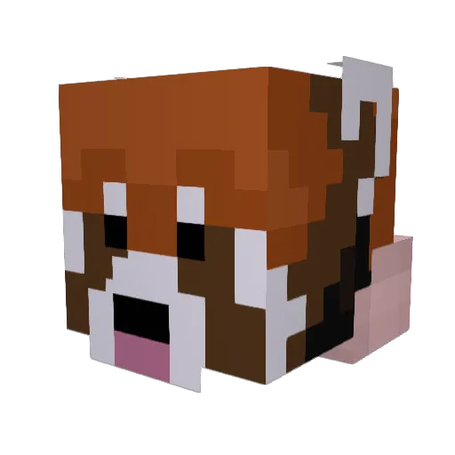 FloobyPawLaw Minecraft avatar head, 3D render