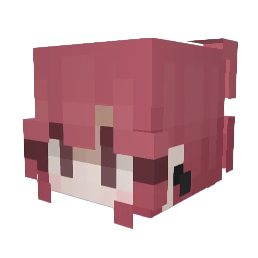 Floofboy00 Minecraft avatar head, 3D render