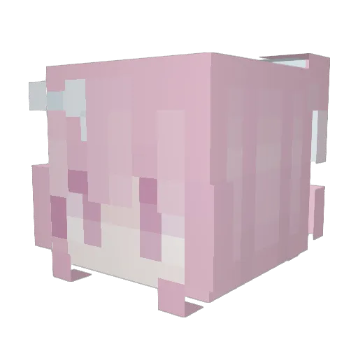 Floofloof Minecraft avatar head, 3D render
