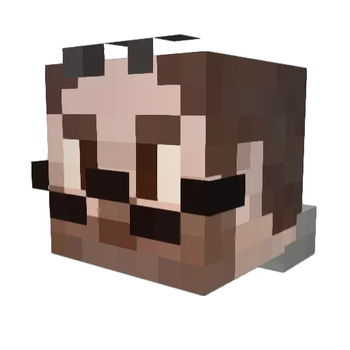 FloofuDooku Minecraft avatar head, 3D render