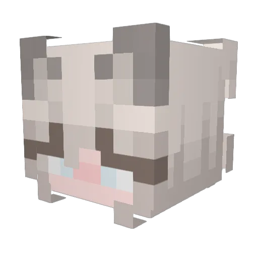 Floofy86 Minecraft avatar head, 3D render