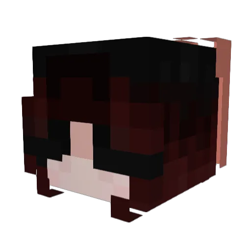 FloofyAppa Minecraft avatar head, 3D render