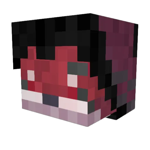 FloofyVixen Minecraft avatar head, 3D render